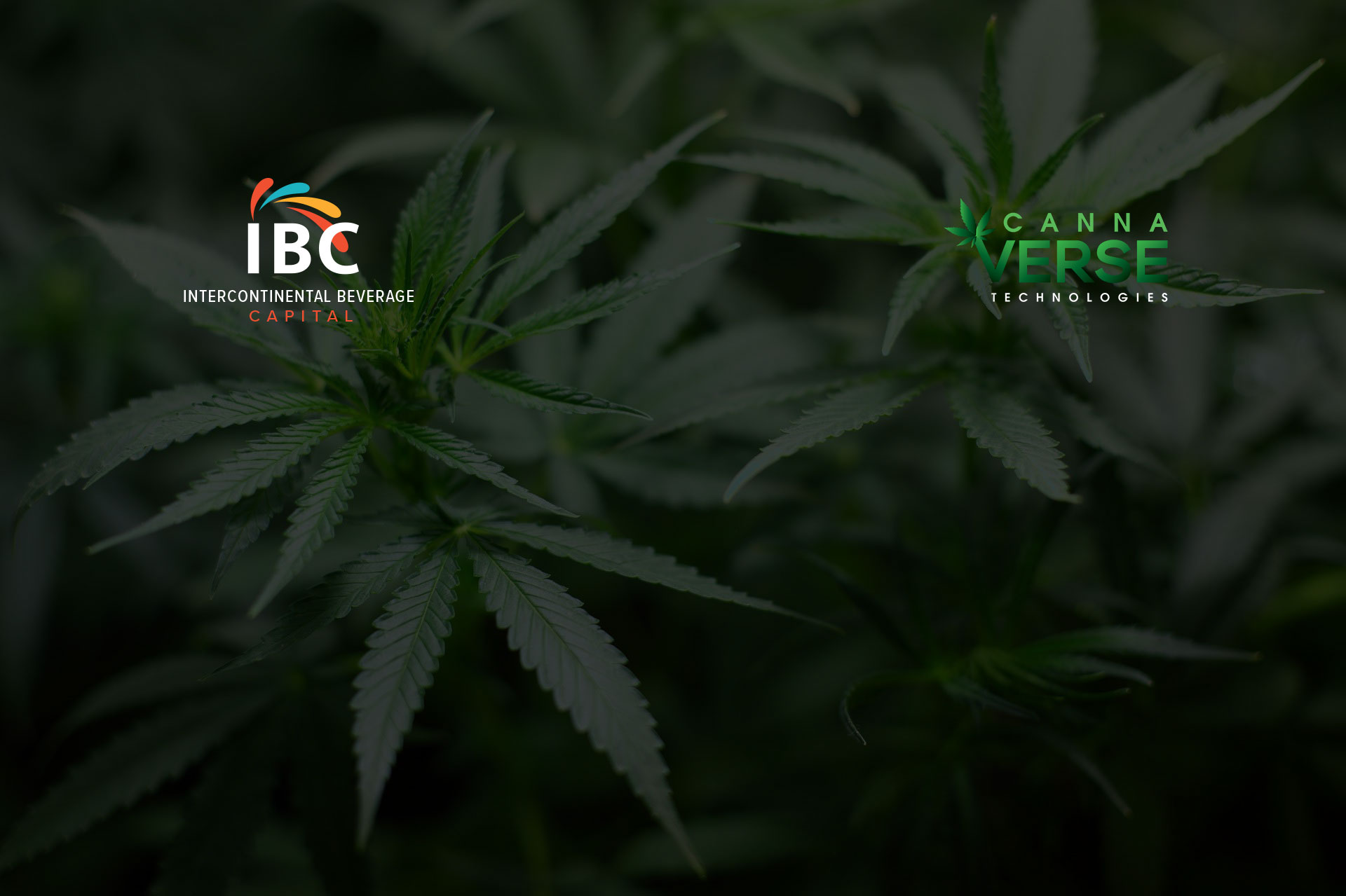 Web3 Roundup: IBC Places High Hopes for the Metaverse into Cannaland